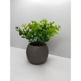 Ddtrend Mini Saksıda Yapay Çiçek Bitki Şimşir Gerçek Taş Yosunlu Toplam 18 Cm Dekoratif Masa Raf Çiçeği