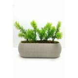 Ddtrend Uzun Saksıda Yapay Çiçek Taş Yosunlu Çim Yeşili Bitki , Banyo Mutfak Masa Çiçeği 21X9x7 Cm