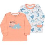 Dear Enika Miniworld Erkek Bebek Dinozor Temalı 2'li Sweat Seti 16446 - 12 - 18 Ay - Somon
