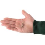 Decathlon Caperlan Weta 2 Kırmızı Noktalı Gümüş Kaşık