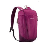 Decathlon Quechua Outdoor Sırt Çantası