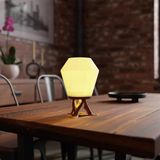 DECO FABRICA Modern Organik Tasarım Masa Lambası – Akışkan Formlu Minimalist Abajur | Ev ve Ofis İçin Doğal İlhamlı Dekoratif Aydınlatma