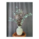 Decolass Kuru Çiçek Şoklanmış Okaliptus Demeti Karışık Renk (50 cm)