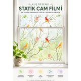 Deconitte Kuş Desenli Vitray Gürünümlü Statik Cam Filmi 60X100 cm – Yapışkansız Dekoratif Pencere Folyosu, Buzlu Cam Kaplama Kumlama - 60cmx100cm - 001-Renkli - 1 Adet