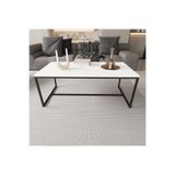 Deconode Alpine 120x60 Orta Sehpa Modern Salon Sehpası Metal Ayaklı Dikdörtgen Orta Sehpa