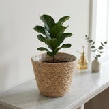 Deconox 1 Adet 28 cm Hasır Saksılık, İç Koruma Poşetli El Örmesi Dekoratif Saksı Sepeti ve Saksı Kılıfı, 28 cm Çap × 22 cm Yükseklik, Salon Antre Pencere Önü Ev Ofis Bitki Dekoru, Doğal Renk
