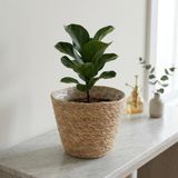Deconox 1 Adet 28 cm Hasır Saksılık, İç Koruma Poşetli El Örmesi Dekoratif Saksı Sepeti ve Saksı Kılıfı, 28 cm Çap × 22 cm Yükseklik, Salon Antre Pencere Önü Ev Ofis Bitki Dekoru, Doğal Renk