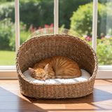 Deconox Oval Gölgelikli Hasır Kedi ve Köpek Yatağı, 46x35 cm Dekoratif Örme Sepet, Mağara Tipi Yarım Kapalı Kedi Evi, Yumuşak Minderli Konforlu Dinlenme Alanı