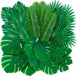Decopom 108'li Paket Palmiye Yaprağı Yapay Tropikal Monstera - 6 Çeşit Büyük Küçük Yeşil Sahte Palmiye Yaprağı Safari Ormanı için Saplar Hawaii Luau Parti Masa Dekorasyonu Düğün Doğum Günü Teması Parti
