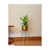 Decor Impex Athena Ayaklı Metal Saksı Küçük Boy