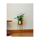 Decor Impex Ayaklı Metal Saksı Küçük Boy