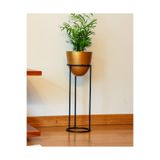 Decor Impex Summus Metal Ayaklı Saksı Büyük Bronz
