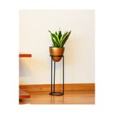 Decor Impex Summus Metal Ayaklı Saksı Orta Bronz