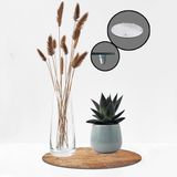 Decorita Cam Saksı Altlığı | Ahşap Görünümlü | - 32 cm