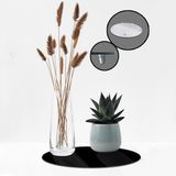 Decorita Cam Saksı Altlığı Düz Renk - Siyah - 32 cm