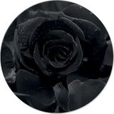 Decorita Karagül Desen | Cam Kesme Tahtası - Cam Kesme Tablası | Çap 32cm - 32 cm