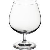 Decorium 6'Lı Konyak ve Viski Kadehi 400cc - Şeffaf - 400 ml