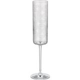 Decorium Allegra 110 ml 2 Parça Flüt Cam Şampanya Kadehi 9-01020232