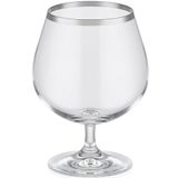 Decorium Dalia Platin Yaldızlı 110 ml 6 Parça Cam Martini Kadehi 9-01020184