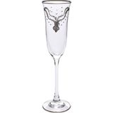 Decorium Flut Şampanya Kadehi 6 Parça Bella Platin M00545