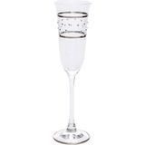 Decorium Flut Şampanya Kadehi 6 Parça Pera Platin M00545