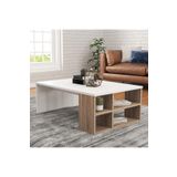 Decormet 030010083309595 Patara Defne Orta Sehpa