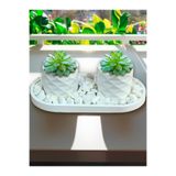decoronay 2’li Sukulent Saksı & Dolomit Taşlı Tabak Seti (TAŞ DAHİL , BİTKİLER DAHİL DEĞİLDİR)