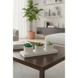 decoronay 3’lü Sukulent Saksı Seti (Dolomit taşı Dahildir,Bitkiler Dahil Değildir)