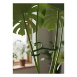 Decorstation Bitki Gövde Destek ve Sabitleme Klipsi | Dikey Büyüme İçin Pratik & BİTKİ TUTUCU(4lüSet)
