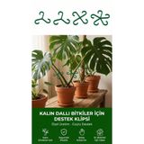 Decorstation Kalın Dallı Bitki Gövde Destek ve Sabitleme Klipsi | Dikey Büyüme İçin Pratik & BİTKİ TUTUCU(4lüSet)