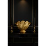 Decostonebiga SAKSI MİDYE BÜYÜK Altın 24 x 33