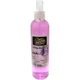 Decostyle Uludağ Geceleri Kolonyası 60 Derece Pet Şişe Sprey 250 ml - 1 Adet
