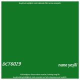 Decotone Su Bazlı Pvc Boyası - Nane Yeşili / RAL 6029