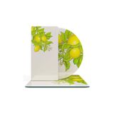 Decovetro Cam Sunum Servis Tabağı 3'lü Karma Set Vintage Lemon