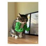 deep3d Hulk Kaslı Kedi Kostümü – Mizahi Evcil Hayvan Aksesuarı