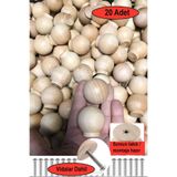 deepowls 20 Adet Ahşap Top Kulp 37mm çapında Doğal Kayın Agacı Çekmece Dolap Mobilya Kulbu Düğme