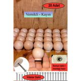 deepowls 20 Adet Cilalı Ahşap Top Kulp 37mm çapında Doğal Çekmece Dolap Mobilya Kulbu Düğme