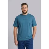 DeFacto %100 Pamuk Büyük Beden Boxy Fit Baskılı T-shırt H1159AX26SM - Indigo-IN194 - 4XL