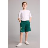 DeFacto %100 Pamuk Minecraft Regular Fıt Sweatshirt Kumaşı Şort Erkek Çocuk H8245A826HS