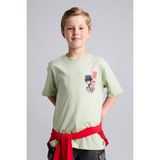 DeFacto %100 Pamuk New Regular Fit Bisiklet Yaka Baskılı Kısa Kollu Açık Yeşil Tişört Erkek Çocuk H8064A826HS - 9 - 10 Yaş