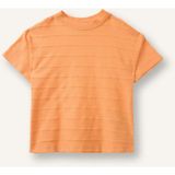 DeFacto %100 Pamuk Regular Fit Kısa Kollu Tişört Erkek Bebek H4803A526SM - Turuncu-OG81 - 18 - 24 Ay