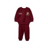 DeFacto 2'li Takım Ayı Baskılı Sweatshirt Eşofman Altı Erkek Bebek G5203A525WN, Bordo, 9-12 Ay (80cm)