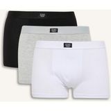 DeFacto A3152AX25SP Regular Fit 3'lü Erkek Boxer