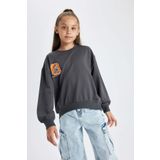 DeFacto B1508A823AU Kız Çocuk Garfield Bisiklet Yaka Sweatshirt