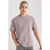 DeFacto B9223AX23WN Mor-PR221 Comfort Fit Bisiklet Yaka Erkek T-shirt