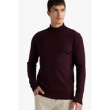DeFacto Balıkçı Yaka Triko Kazak Bordo, S, F4459AX25AU, Bordo-BR210, Erkek