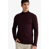 DeFacto Balıkçı Yaka Triko Kazak, XL, F4459AX25AU, Bordo-BR210, Erkek