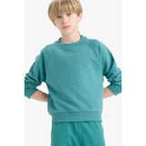 Defacto Bisiklet Yaka Basic Düz Okul Sweatshirt Erkek Çocuk, 12/13 Yaş (158cm), E8415A825AU, Yeşil, erkek-çocuk