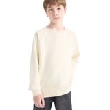 Defacto Bisiklet Yaka Basic Düz Okul Sweatshirt Erkek Çocuk, 7-8 Yaş, E8415A825AU, Bej-BG734, erkek-çocuk, 7/8 Yaş (128cm)