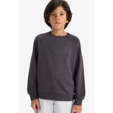 Defacto Bisiklet Yaka Basic Düz Okul Sweatshirt Erkek Çocuk, 8-9 Yaş, E8415A825AU, Antrasit-AR138, erkek-çocuk, 8/9 Yaş (134cm)